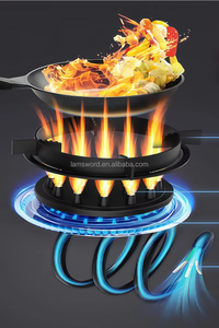 Cocina de llama eléctrica de 1 quemador para Cocina Casera Producto de energía térmica solar Alternativa de cocina de gas - Product Image 2