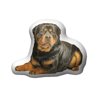 Vente en gros et personnalisé sublimation rottweiler oreiller en peluche dakimakura oreiller forme irrégulière nouveau personnalisé imprimé