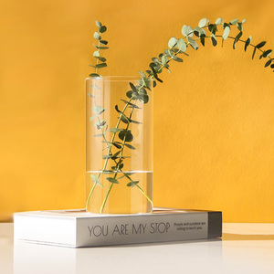 Commercio all'ingrosso di alta borosilicato cilindro dritto <span class=keywords><strong>vasi</strong></span> di vetro <span class=keywords><strong>per</strong></span> la decorazione da tavolo funzionale vaso da tavolo al prezzo di fabbrica - Product Image 2