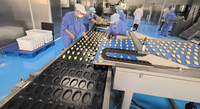 Ligne de production industrielle automatique ADMF pour l'alignement des plateaux en acier inoxydable pour pain, biscuits, croissants et maamoul