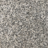 Dalles de granit blanc sésame bon marché de Chine, sur mesure avec des taches noires pour les murs et les sols extérieurs, finition polie