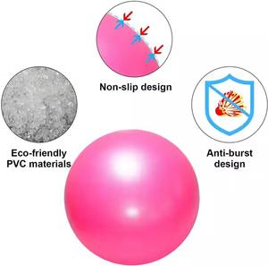 Entrenamiento en casa Fitness logotipo personalizado <span class=keywords><strong>20</strong></span>/25 <span class=keywords><strong>cm</strong></span> PVC Mini Yoga <span class=keywords><strong>pelota</strong></span> terapia física Mini <span class=keywords><strong>pelota</strong></span> <span class=keywords><strong>Pilates</strong></span> <span class=keywords><strong>pelota</strong></span> - Product Image 2