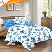 Parure de Lit Trois Places Housse de Couette Drap Housse en Coton Drap Plat 2 Draps 2 Taies d'Oreiller