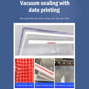 Máquina de Envasado al Vacío y Sellado Térmico de Bolsas de Papel de Aluminio para Pollo, Arroz y Otros Productos, Modelo Dz-680, Comercial, Eléctrica, de Una Cámara Grande - Product Image 3