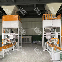 Machine de remplissage de pesage 5-50kg pour haricots, céréales, sol, granulés, riz, graines, maïs, aliments pour animaux, poudre, engrais