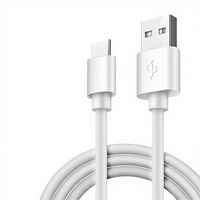 Câbles de charge Type-C 2A en gros, adaptés pour charger les téléphones portables, les batteries externes, les écouteurs, les consoles de jeux.