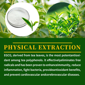 Tableta prensada con infusión de EGCG Premium, caramelo que promueve la protección celular de la salud cardiovascular - Product Image 5