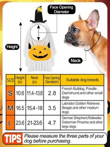 <span class=keywords><strong>Disfraz</strong></span> <span class=keywords><strong>de</strong></span> Perro Fantasma <span class=keywords><strong>para</strong></span> Halloween, Transpirable, <span class=keywords><strong>de</strong></span> Poliéster Estampado, Diseño Simple, Capa <span class=keywords><strong>para</strong></span> Mascotas con Bolsa <span class=keywords><strong>de</strong></span> Calabaza, Capa Linda <span class=keywords><strong>para</strong></span> Fiestas, <span class=keywords><strong>para</strong></span> Gatos y Perros Medianos - Product Image 4