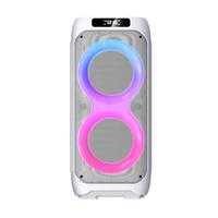 Haut-parleur de fête DJ sans fil TWS BT avec microphone, double woofer 10'' haute puissance 240W, LED RGB, pour scène et karaoké - Prix usine