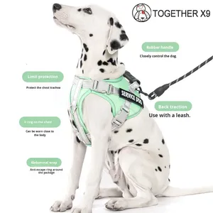 Ensemble laisse et harnais pour chien en nylon rembourré avec fermeture à boutons, style mode, pour grandes races, entraînement, randonnée, plusieurs couleurs - Product Image 1