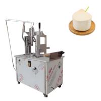 Automatische Kokosnoot Schilmachine RVS 304 voor Fruit & Groenten
