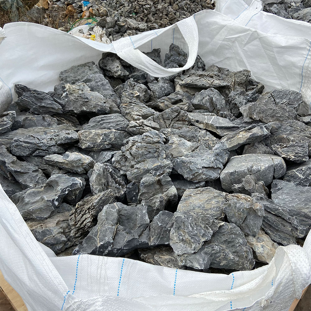 How to Choose the Best Ornamental Fish Keeping Supplies for Your Aquarium