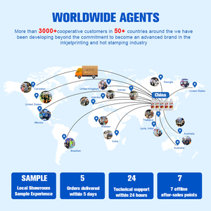 <span class=keywords><strong>Film</strong></span> de transfert thermique PET mat à froid FCOLOR, vente directe usine, 30cm 60cm, 75U 100U, pour imprimante DTF - Product Image 6