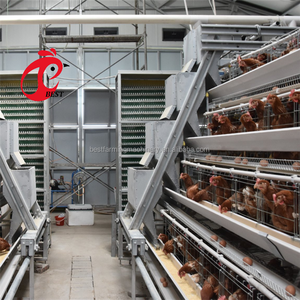 Ontwerp Van De Pluimveehouderij In <span class=keywords><strong>Zambia</strong></span> Tanzania Volautomatische Apparatuur Voor De Kooi Van De Batterijlaag - Product Image 5
