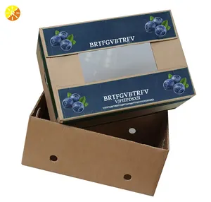 Customized delicate fruit box foldable corrugated packaging box cherry banana blueberry shipping box