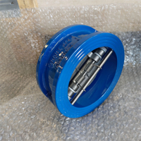 Clapet anti-retour à bride DN80, Clapets anti-retour DN100, Vanne à air, Vanne à bride G2, Clapet oscillant haute pression hydraulique