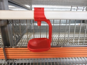 Jaula para Pollos <span class=keywords><strong>de</strong></span> <span class=keywords><strong>Engorde</strong></span> a Precio <span class=keywords><strong>de</strong></span> Fábrica, Jaula <span class=keywords><strong>de</strong></span> Alambre Soldado para Cría <span class=keywords><strong>de</strong></span> Codornices y Pollos, Venta Directa - Product Image 6