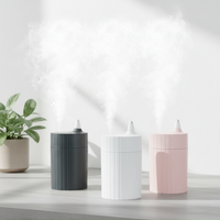 Humidificateur ultrasonique à brume fraîche USB, aromathérapie, lumière LED nocturne, capacité de 360 ml, portable, ultra-silencieux, en plastique, pour l'extérieur et la maison