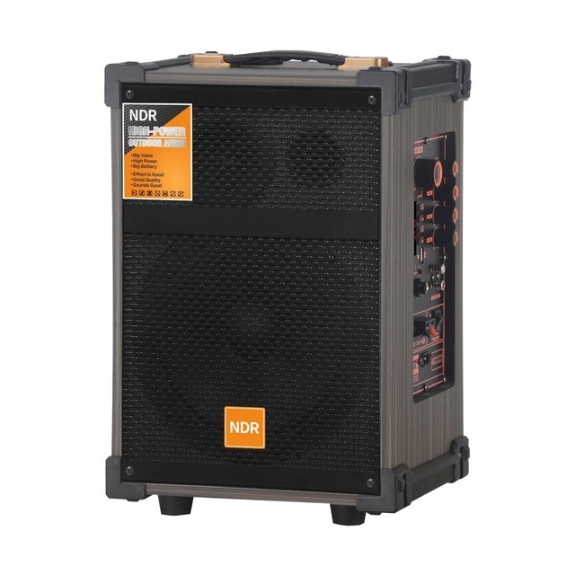 Raysounds Audio 8 Inch Portable for Pull Rod Stereo Home square Dance Party Speaker Foreign Trade Audio Multi-function