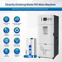 Distributeur intelligent d'ioniseur d'eau potable d'osmose inverse de purificateur d'eau d'osmose d'inversion pour l'usage domestique