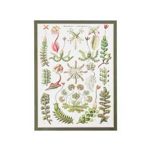 Emballage floral pour la Saint-Valentin, vente en gros, papier artistique écologique 85g, impression élégante de motifs floraux rétro, imperméable - Product Image 6
