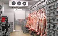 Chambre froide automatique pour viande avec moteur et boîte de vitesses -18~-25°C - Conservation écologique du bœuf, du porc et du poulet congelés