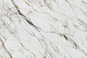 1200X2400Mm Thêm Lớn Định Dạng 2400Mm Tùy Chỉnh Thực Hiện Kích Thước Lớn Sứ Lớn Tường Gạch Trắng Phiến Đá Cẩm Thạch Thương Mại Sàn Gạch - Product Image 4