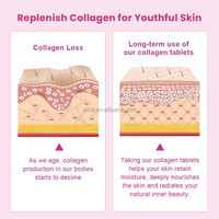 Comprimés de Collagène Bovin Hydrolysé Types 1 & 3 Vitamine C Biotine Alimenté aux Herbes Keto Sans Gluten Produits de Beauté Antioxydants OEM/ODM