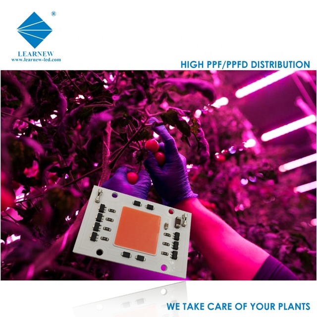 Performance épi pousser led 50W puce avec divers spectre de fabrication de Shenzhen