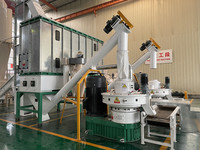 Rotex Master 2-3tph 160kw Machine de presse à granulés, appareil en bois avec CE