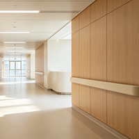 Panneau mural en PVC antimicrobien de qualité médicale, résistant au feu, écologique, revêtement pour les chambres d'enfants, plaques murales