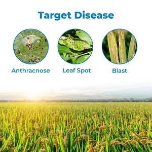 <span class=keywords><strong>Idrossido</strong></span> di Rame 50% WP, Vendita Diretta dal Produttore, Fungicidi Agricoli per Alberi di Cacao, Ortaggi, Frutta e Colture - Product Image 4