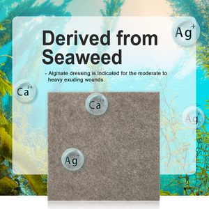 Carbou bán buôn y tế 7.5*7.5cm vết thương bạc canxi alginate hydrofiber Bạc alginate mặc quần áo - Product Image 5