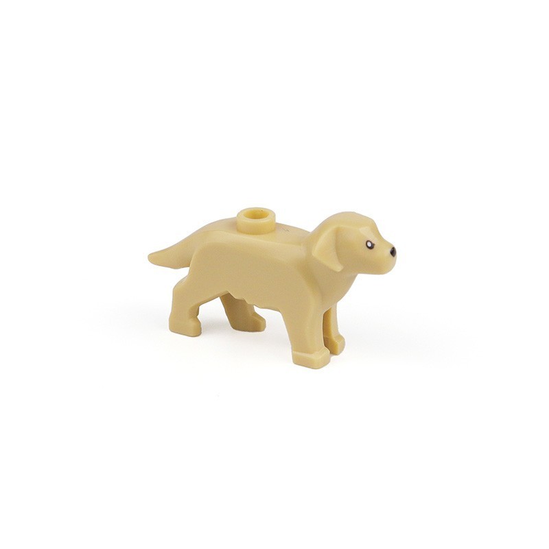 1 golden retriever beige