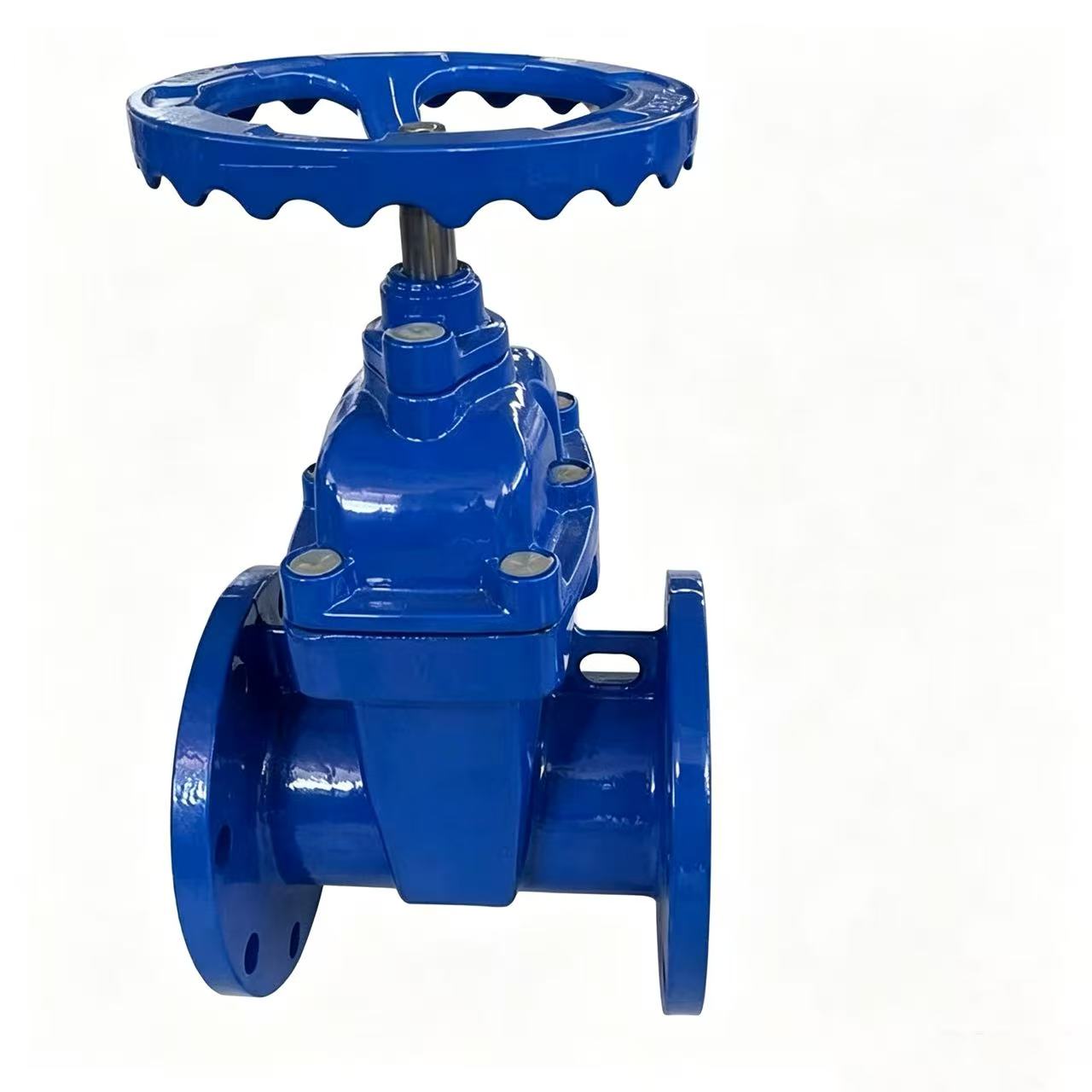 Gate Valve 100mm Dia