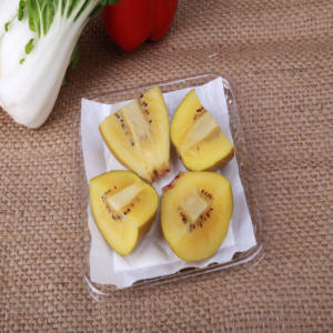 Almohadilla Absorbente para Empaque de Alimentos, para Pescado y Carne, Ideal para Transporte, Venta al Por Mayor - Product Image 3