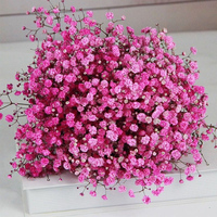 Fleurs Séchées Gypsophile Stabilisé Souffle de Bébé Grossiste Cadeau Saint-Valentin