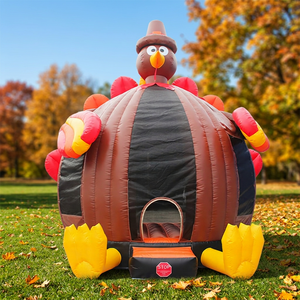 WINSUN Parque de Diversiones Inflable con Temática de Turquía, Castillo de PVC, Trampolín Combinado, Certificado CE, Libre de Plomo, Ignífugo, Personalizable - Product Image 1