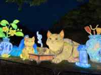 Lanternes et décorations de parc pour le festival de Thanksgiving, thème « Tea Party des chats », en tissu de soie imperméable avec éclairage LED, installation artistique