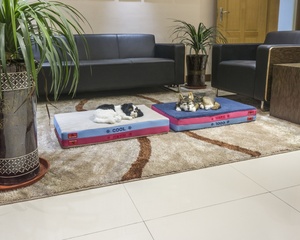 도매 개 침대 제조 업체 인증 OEKO-TEX 따뜻하고 시원한 애완 동물 침대 저렴한 개 침대 쿠션 - Product Image 3