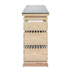 Colmena <span class=keywords><strong>de</strong></span> abejas China Fir Langstroth, 2 cajas profundas, 1 caja mediana, 30 cuadros y láminas <span class=keywords><strong>de</strong></span> base, 3 niveles, juego completo - Product Image 1