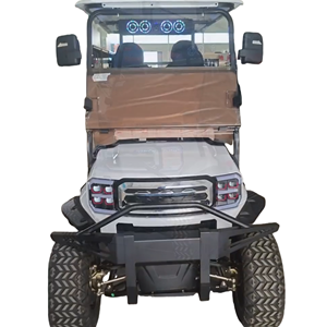 Feux avant combinés à LED personnalisables TONGCAI, voiturette de <span class=keywords><strong>golf</strong></span> électrique 4 places pour les voyages - Product Image 1