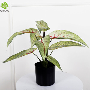 Planta Artificial de Hojas de Taro de 30cm-100cm de Altura, Simulación Realista, Decoración de Escritorio para Interiores, Planta en Maceta de Plástico - Product Image 4