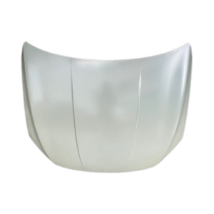 BYD Qin PRO/PLUS Original Karosserie-Systemzubehör Wabendesign Motorhaube OE NR. HAD-8402010/70 - Product Image 1