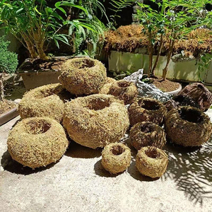 Macetas Creativas con <span class=keywords><strong>Musgo</strong></span> <span class=keywords><strong>para</strong></span> <span class=keywords><strong>Plantas</strong></span> <span class=keywords><strong>de</strong></span> Interior - Estilo Kokedama - Product Image 5
