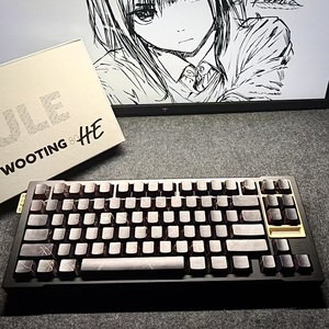 原始设备制造商WIN60/WIN68 RGB定制61键游戏机械键盘电子竞技系列磁性开关快速触发8k返回热插拔 - Product Image 6