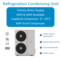 Unité de condensation à compresseur Copeland/Emerson 6HP, refroidie par air, pour chambre froide