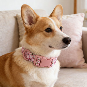 Nouveau collier pour animaux de compagnie, série Fruits et Fleurs, boucle colorée, collier pour chien et <span class=keywords><strong>chat</strong></span>, gravure laser, lettrage, toutes saisons, collier festif pour chien - Product Image 5
