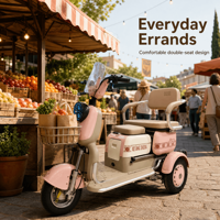 Scooter à trois roues motorisé NEUF, moteur différentiel 500W, roues en fer, vente en gros, export, 48V 60V, tricycle adulte