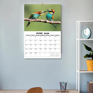 Calendario de Pared Espiral Personalizado con Vista Anual para Journaling Creativo y Planificación Familiar con Bajo Moq - Product Image 5